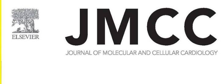 JMCC