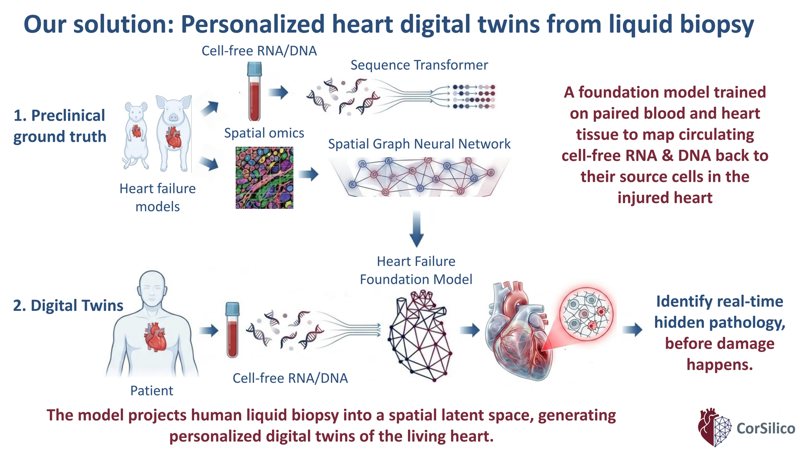 Slide 5 of 14: Personalized heart digital twins from liquid biopsy